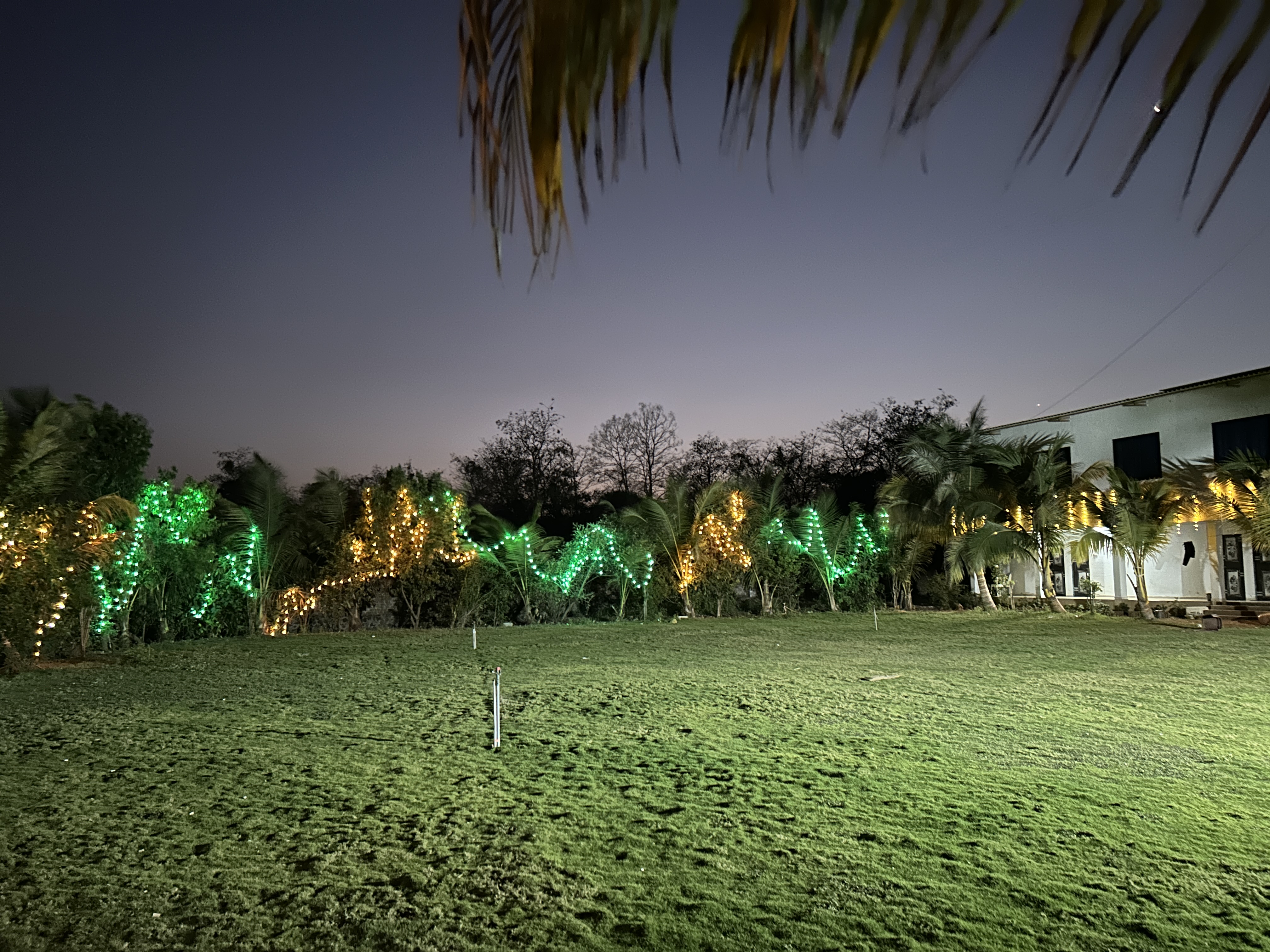 Event Lawn